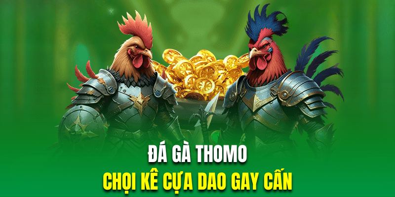 Chọi kê cựa dao mang đến những màn tranh tài nảy lửa