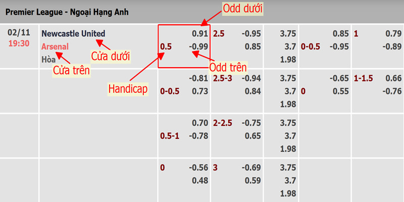 Ví dụ về cược châu Á trận Newcastle vs Arsenal