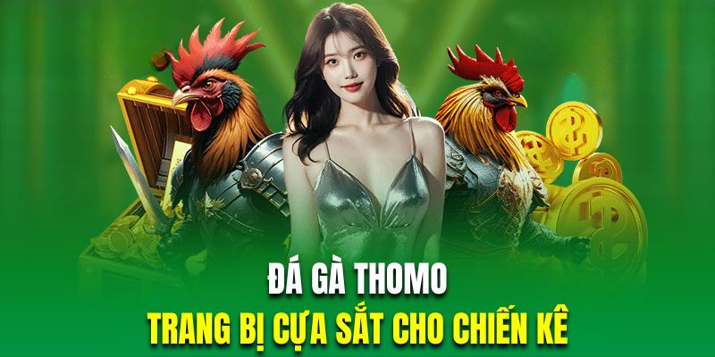 Trong đá gà Thomo cả hai chiến kê đều sẽ được trang bị cựa sắt để tăng kịch tính