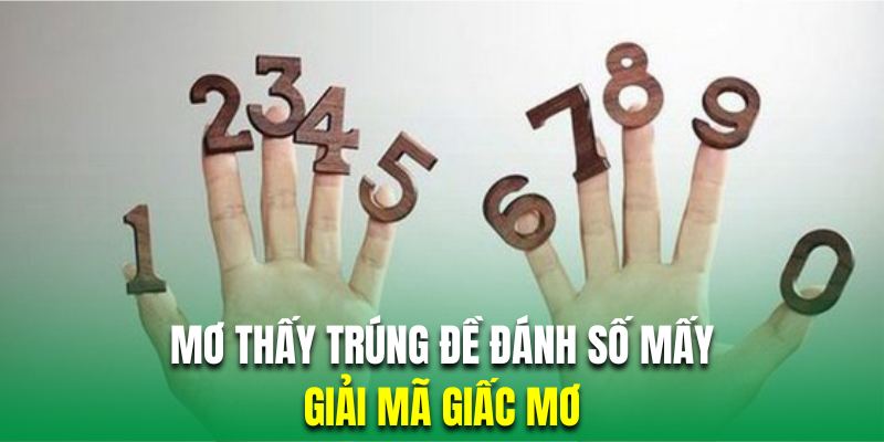 Mơ Thấy Trúng Đề Đánh Số Mấy