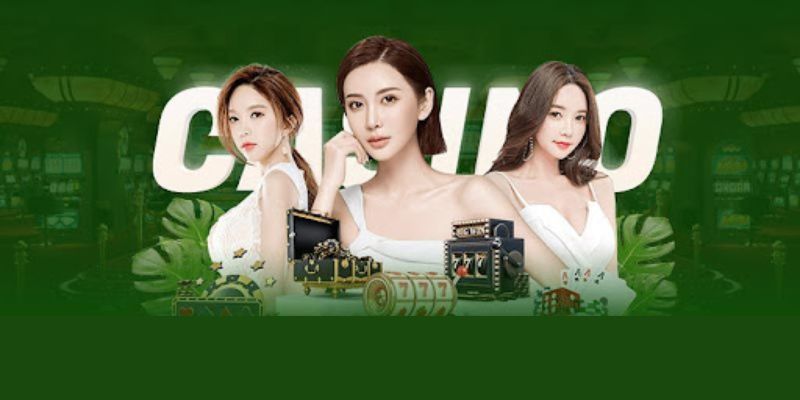 Đôi nét về TP casino